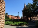 Amazonki_w_Poznaniu_45